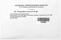 Image Associated With the Occurence